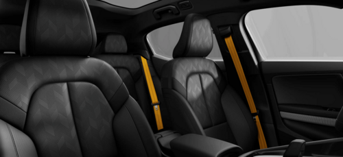 Polestar 2 LRDM Performance